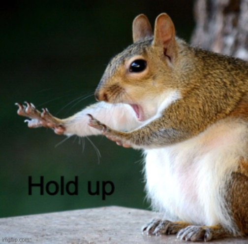 Hold Up Squirrel | image tagged in hold up squirrel | made w/ Imgflip meme maker