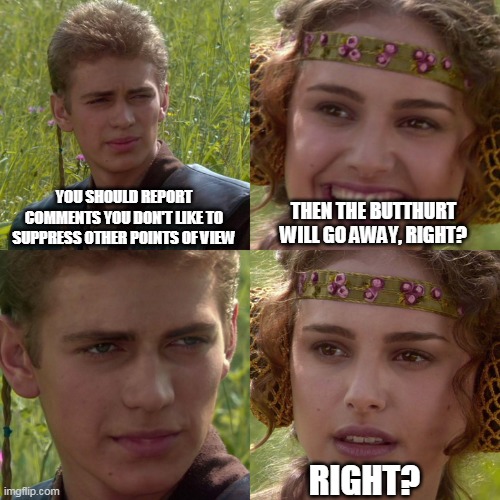 mY FeElz gOt HuRt! | YOU SHOULD REPORT COMMENTS YOU DON'T LIKE TO SUPPRESS OTHER POINTS OF VIEW; THEN THE BUTTHURT WILL GO AWAY, RIGHT? RIGHT? | image tagged in anakin padme 4 panel | made w/ Imgflip meme maker