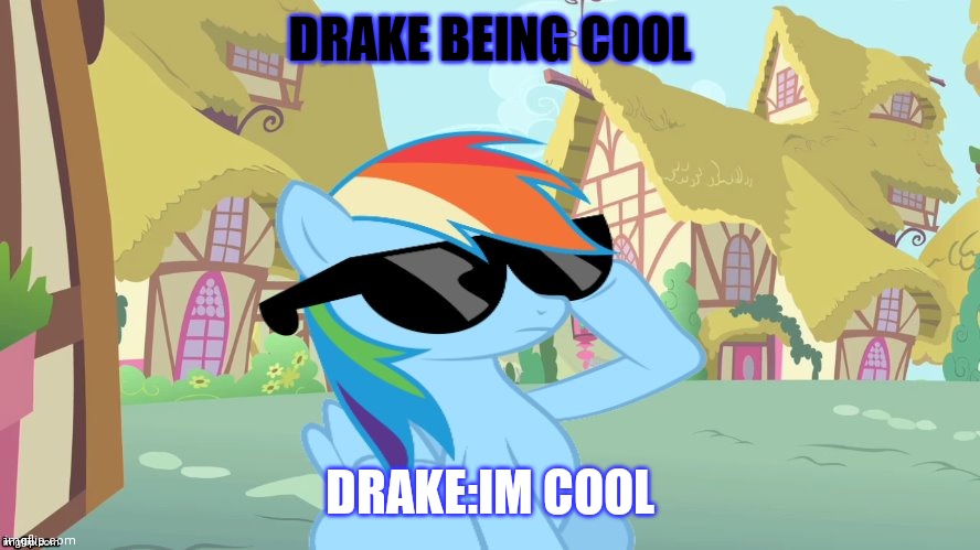 Drake is cool | DRAKE BEING COOL; DRAKE:IM COOL | image tagged in rainbow dash shades | made w/ Imgflip meme maker