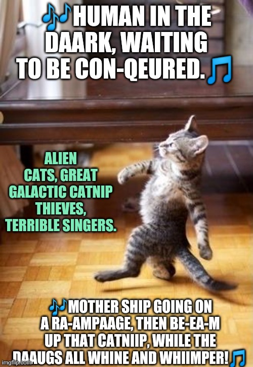 We should have known..from all the terrible singing. | 🎶HUMAN IN THE DAARK, WAITING TO BE CON-QEURED.🎵; ALIEN CATS, GREAT GALACTIC CATNIP THIEVES, TERRIBLE SINGERS. 🎶MOTHER SHIP GOING ON A RA-AMPAAGE, THEN BE-EA-M UP THAT CATNIIP, WHILE THE DAAUGS ALL WHINE AND WHIIMPER!🎵 | image tagged in memes,cool cat stroll,secret alien kitty,abhorrent singer | made w/ Imgflip meme maker