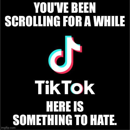 tiktok logo | YOU'VE BEEN SCROLLING FOR A WHILE; HERE IS SOMETHING TO HATE. | image tagged in tiktok logo | made w/ Imgflip meme maker