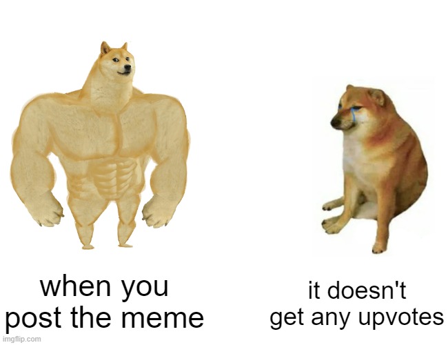 so please make this get upvotes | when you post the meme; it doesn't get any upvotes | image tagged in memes,buff doge vs cheems | made w/ Imgflip meme maker