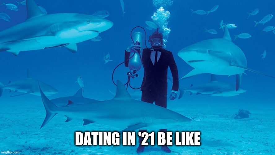 Perilous | DATING IN '21 BE LIKE | image tagged in swimming with sharks | made w/ Imgflip meme maker