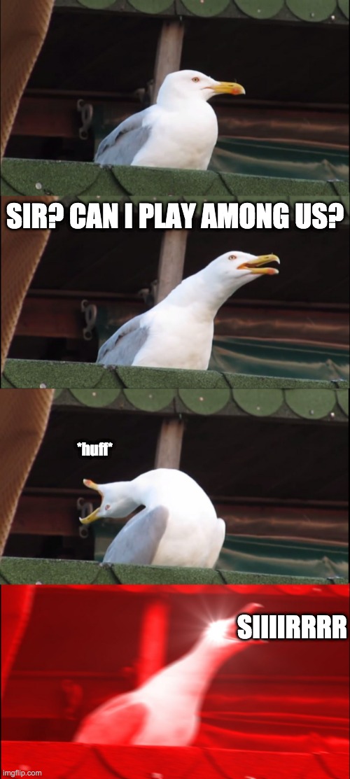 Sir, can I play Among Us? | SIR? CAN I PLAY AMONG US? *huff*; SIIIIRRRR | image tagged in memes,inhaling seagull | made w/ Imgflip meme maker