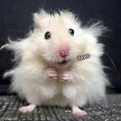 Stressed Mouse | RAWR | image tagged in stressed mouse | made w/ Imgflip meme maker