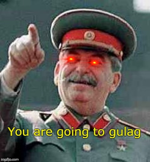 you are going to gulag | image tagged in you are going to gulag | made w/ Imgflip meme maker