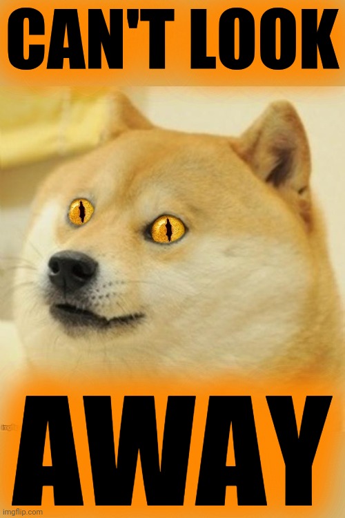 Doge Snake Eyes | CAN'T LOOK AWAY | image tagged in doge snake eyes | made w/ Imgflip meme maker