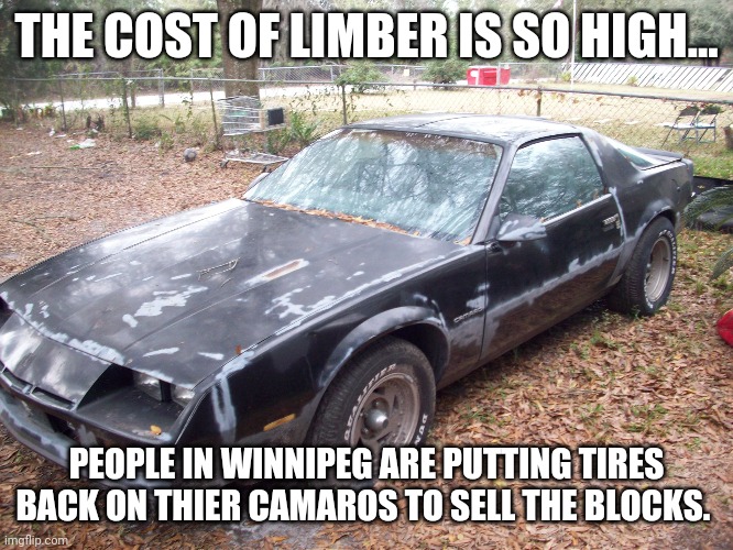 Sell the Camaro blocks | THE COST OF LIMBER IS SO HIGH... PEOPLE IN WINNIPEG ARE PUTTING TIRES BACK ON THIER CAMAROS TO SELL THE BLOCKS. | image tagged in cars | made w/ Imgflip meme maker