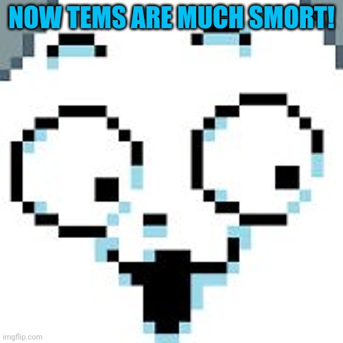 tEMMIE  | NOW TEMS ARE MUCH SMORT! | image tagged in temmie | made w/ Imgflip meme maker