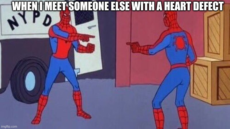 spiderman pointing at spiderman | WHEN I MEET SOMEONE ELSE WITH A HEART DEFECT | image tagged in spiderman pointing at spiderman | made w/ Imgflip meme maker
