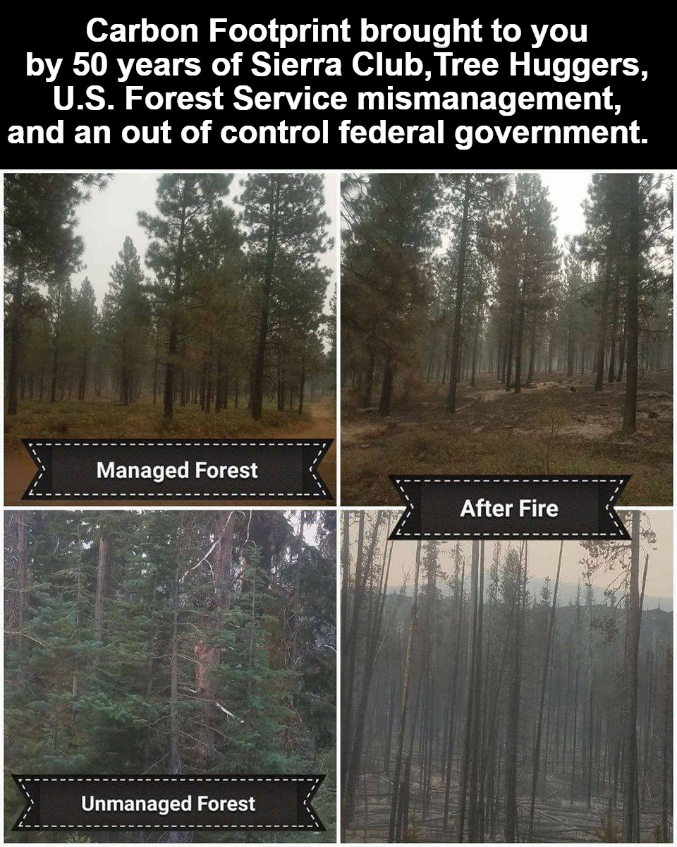 Managed Forest vs. Unmanaged Forest | Carbon Footprint brought to you by 50 years of Sierra Club,Tree Huggers, U.S. Forest Service mismanagement, and an out of control federal government. | image tagged in carbon footprint,forest fire,us government,big government,tree huggers,sierra club | made w/ Imgflip meme maker