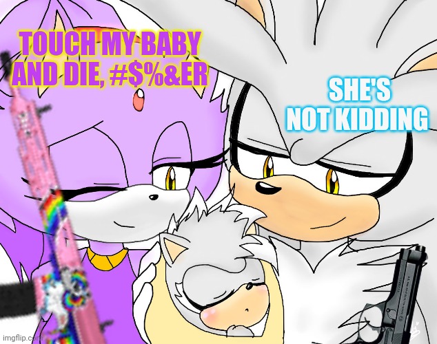 And baby makes three | SHE'S NOT KIDDING; TOUCH MY BABY AND DIE, #$%&ER | image tagged in sonic the hedgehog,blaze the cat,silver,sonicexe,hedgecat | made w/ Imgflip meme maker