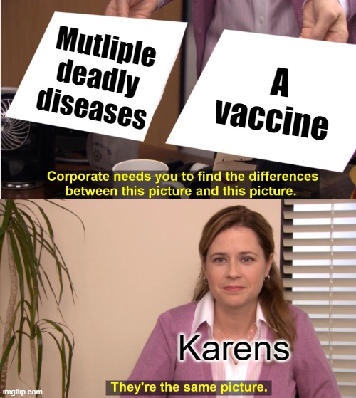 JUST GET THE VACCINE | Mutliple deadly diseases; A vaccine; Karens | image tagged in memes,they're the same picture,karens | made w/ Imgflip meme maker