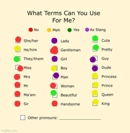 reeee | image tagged in pronouns sheet | made w/ Imgflip meme maker