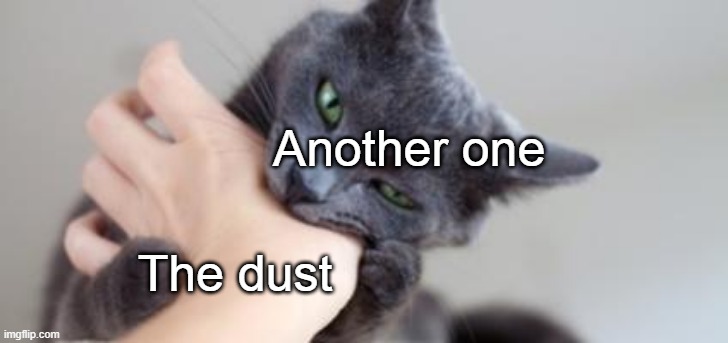Cat Bite | Another one; The dust | image tagged in cat bite | made w/ Imgflip meme maker