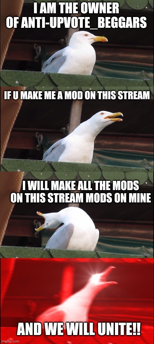 UNITE ALL ANTI UPVOTE BEGGARS!!! | I AM THE OWNER OF ANTI-UPVOTE_BEGGARS; IF U MAKE ME A MOD ON THIS STREAM; I WILL MAKE ALL THE MODS ON THIS STREAM MODS ON MINE; AND WE WILL UNITE!! | image tagged in memes,inhaling seagull | made w/ Imgflip meme maker