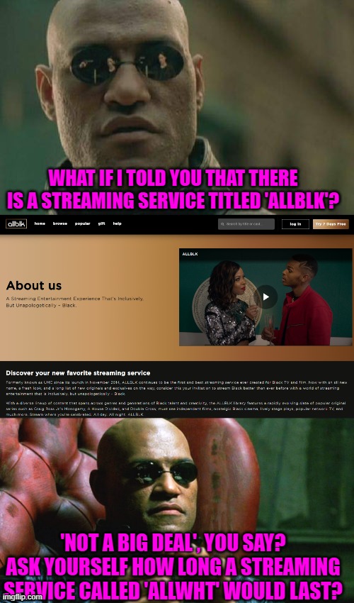 No, allblk isn't racist at all... |  WHAT IF I TOLD YOU THAT THERE IS A STREAMING SERVICE TITLED 'ALLBLK'? 'NOT A BIG DEAL', YOU SAY? ASK YOURSELF HOW LONG A STREAMING SERVICE CALLED 'ALLWHT' WOULD LAST? | image tagged in memes,matrix morpheus,laurence fishburne morpheus | made w/ Imgflip meme maker