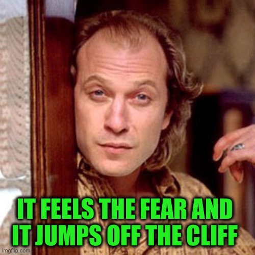 Buffalo Bill Silence of the lambs | IT FEELS THE FEAR AND 
IT JUMPS OFF THE CLIFF | image tagged in buffalo bill silence of the lambs | made w/ Imgflip meme maker