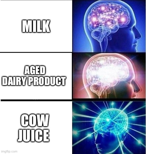Expanding brain 3 panels | MILK; AGED DAIRY PRODUCT; COW JUICE | image tagged in expanding brain 3 panels | made w/ Imgflip meme maker