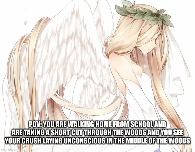 Anime angel | POV: YOU ARE WALKING HOME FROM SCHOOL AND ARE TAKING A SHORT CUT THROUGH THE WOODS AND YOU SEE YOUR CRUSH LAYING UNCONSCIOUS IN THE MIDDLE OF THE WOODS | image tagged in anime angel | made w/ Imgflip meme maker