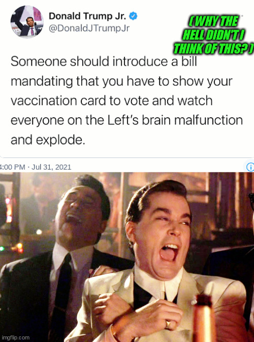 People saw the obvious contradiction, but I guess nobody had yet fully put it together |  ( WHY THE HELL DIDN'T I THINK OF THIS? ) | image tagged in good fellas hilarious,donald trump jr,covid-19,global pandemic,voter id,vaccine passport | made w/ Imgflip meme maker