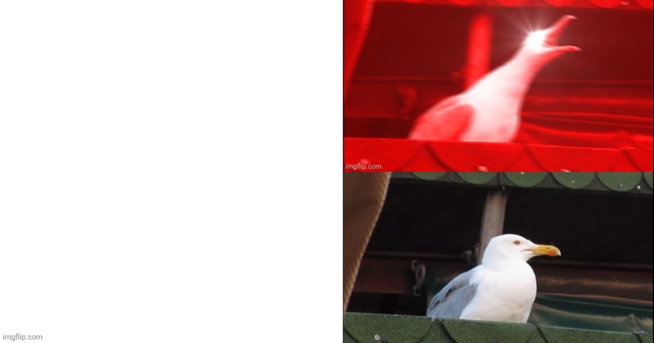 High Quality Angry seagull vs chill seagull Blank Meme Template