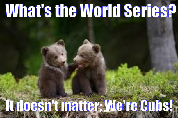 Chicago Flubs | What's the World Series? It doesn't matter; We're Cubs! | image tagged in bear cubs | made w/ Imgflip meme maker