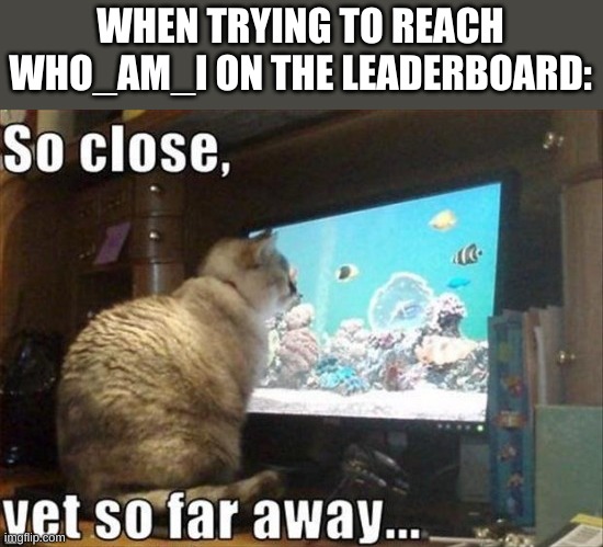 Is It Possible To Beat Him? I Think So. |  WHEN TRYING TO REACH WHO_AM_I ON THE LEADERBOARD: | image tagged in so close yet so far,who_am_i,leaderboard | made w/ Imgflip meme maker