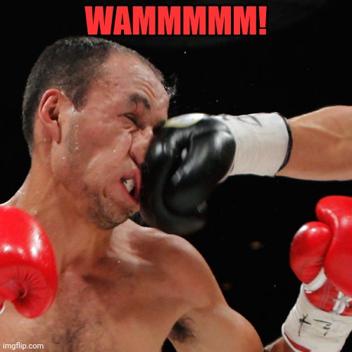 Boxer Getting Punched In The Face | WAMMMMM! | image tagged in boxer getting punched in the face | made w/ Imgflip meme maker