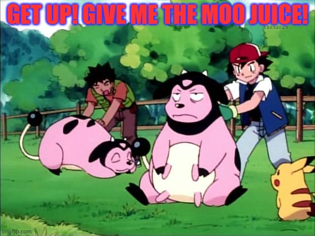 Ash wants free milk! | GET UP! GIVE ME THE MOO JUICE! | image tagged in mollified miltank,miltank,pokemon,ash ketchum,milk | made w/ Imgflip meme maker