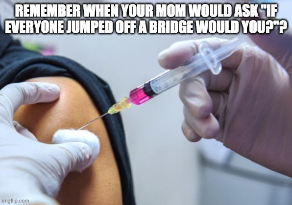 Jabaroo for you - rohb/rupe | REMEMBER WHEN YOUR MOM WOULD ASK "IF EVERYONE JUMPED OFF A BRIDGE WOULD YOU?"? | image tagged in jabaroo,vaccine,bullshit,jjump off a bridge | made w/ Imgflip meme maker