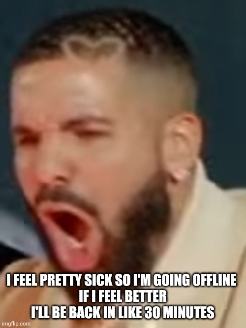 Drake pog | I FEEL PRETTY SICK SO I'M GOING OFFLINE 
IF I FEEL BETTER I'LL BE BACK IN LIKE 30 MINUTES | image tagged in drake pog | made w/ Imgflip meme maker