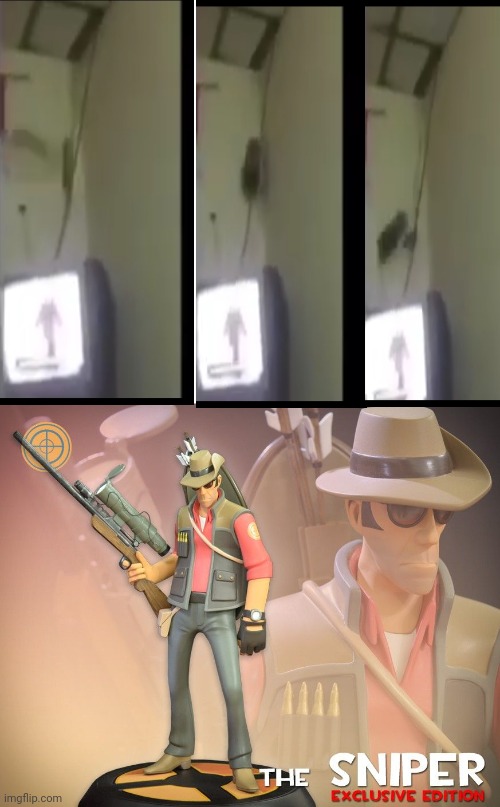 Sniper | image tagged in the sniper tf2 meme | made w/ Imgflip meme maker