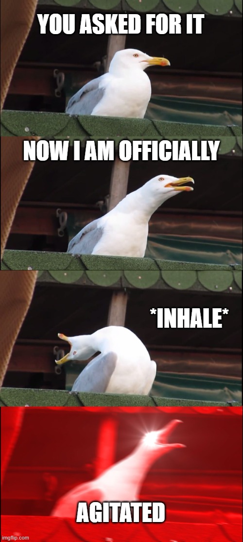 Inhaling Seagull Meme | YOU ASKED FOR IT; NOW I AM OFFICIALLY; *INHALE*; AGITATED | image tagged in memes,inhaling seagull | made w/ Imgflip meme maker