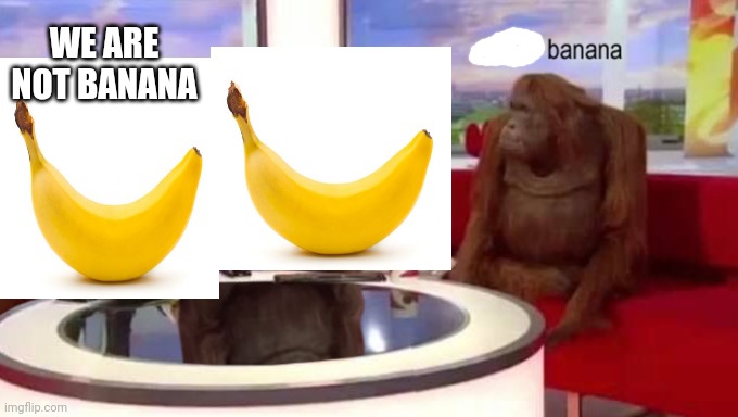 He reminds them banana | WE ARE NOT BANANA | image tagged in where banana | made w/ Imgflip meme maker