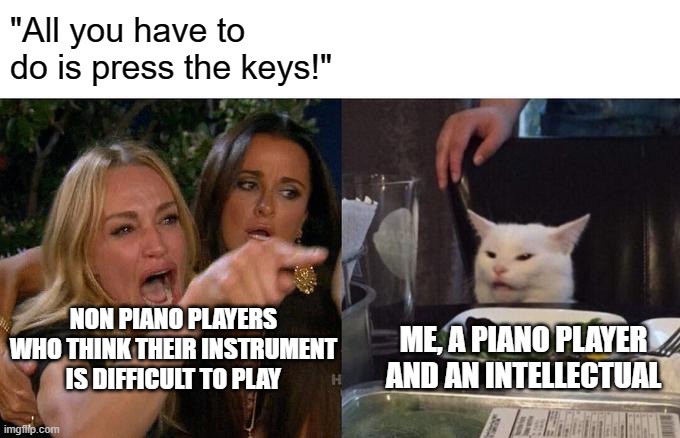 Woman Yelling At Cat Meme | "All you have to do is press the keys!"; NON PIANO PLAYERS WHO THINK THEIR INSTRUMENT IS DIFFICULT TO PLAY; ME, A PIANO PLAYER AND AN INTELLECTUAL | image tagged in memes,woman yelling at cat | made w/ Imgflip meme maker