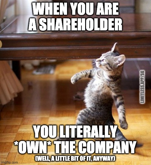 The Boss is on his way |  WHEN YOU ARE A SHAREHOLDER; LIMITLESS.APP/SG; YOU LITERALLY *OWN* THE COMPANY; (WELL, A LITTLE BIT OF IT, ANYWAY) | image tagged in cat walking like a boss | made w/ Imgflip meme maker