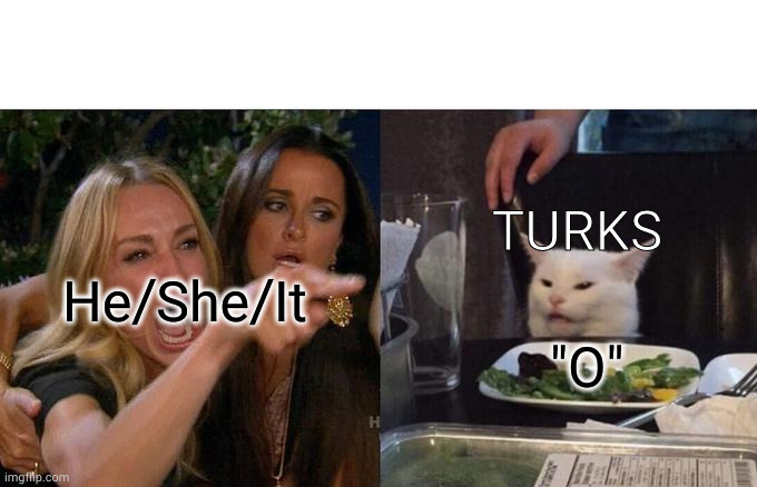 he/she/it in Turkish | TURKS; He/She/It; "O" | image tagged in memes,woman yelling at cat | made w/ Imgflip meme maker