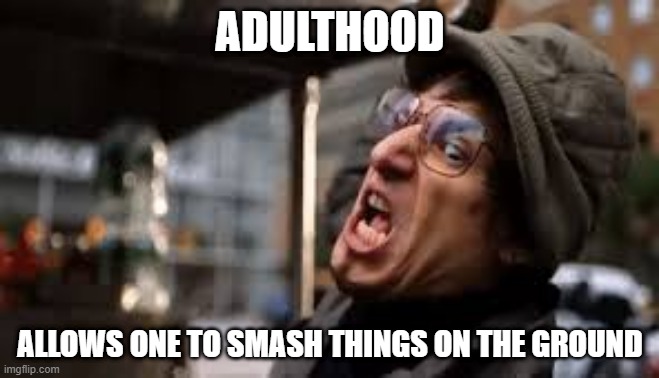 I threw it on the ground | ADULTHOOD; ALLOWS ONE TO SMASH THINGS ON THE GROUND | image tagged in i threw it on the ground | made w/ Imgflip meme maker