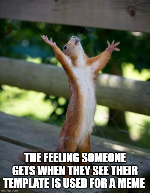 The feeling someone gets when their template is used | THE FEELING SOMEONE GETS WHEN THEY SEE THEIR TEMPLATE IS USED FOR A MEME | image tagged in happy squirrel | made w/ Imgflip meme maker