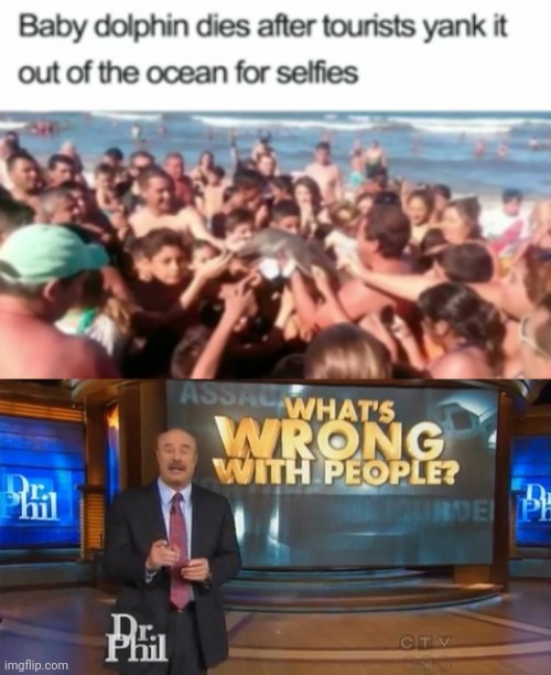 Poor dolphin... | image tagged in dr phil what's wrong with people,funny,memes,funny memes,dolphin,selfie | made w/ Imgflip meme maker