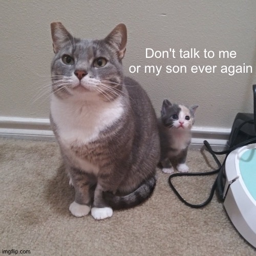 don't talk to me or my son ever again | Don't talk to me or my son ever again | image tagged in don't talk to me or my son ever again | made w/ Imgflip meme maker
