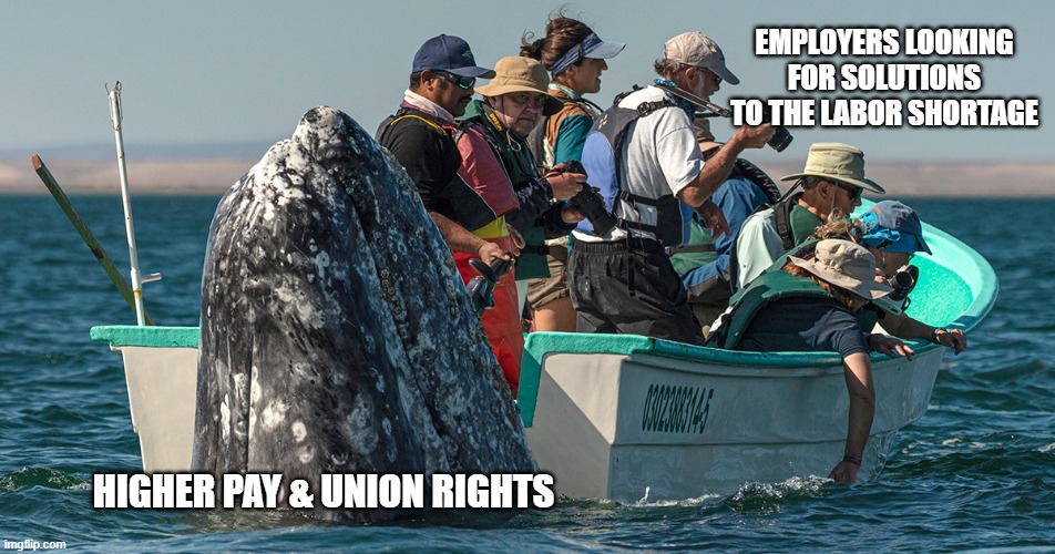 Whale sneaks up from behind - employers looking for solutions | EMPLOYERS LOOKING FOR SOLUTIONS TO THE LABOR SHORTAGE; HIGHER PAY & UNION RIGHTS | image tagged in whale sneaks up from behind | made w/ Imgflip meme maker