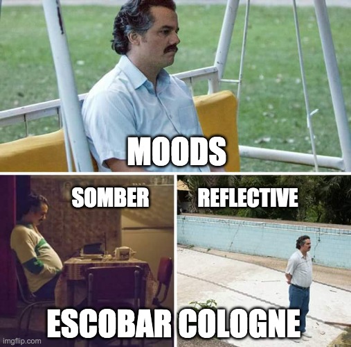 Escobar Cologne | MOODS; SOMBER; REFLECTIVE; ESCOBAR COLOGNE | image tagged in memes,sad pablo escobar | made w/ Imgflip meme maker