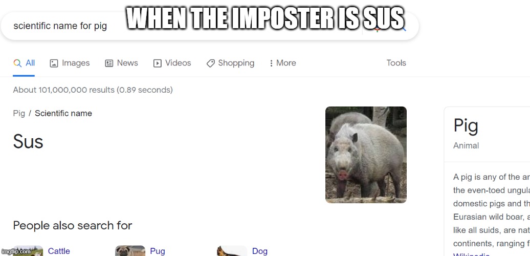 Sus pig | WHEN THE IMPOSTER IS SUS | image tagged in sus pig | made w/ Imgflip meme maker