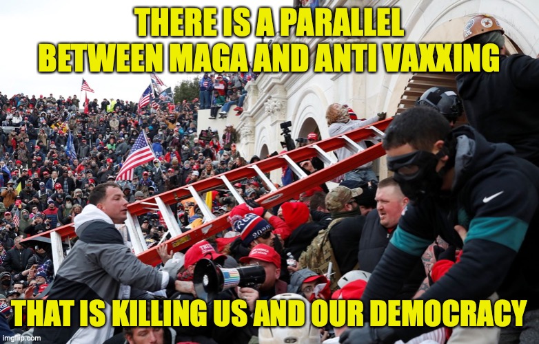 Qanon - Insurrection - Trump riot - sedition | THERE IS A PARALLEL BETWEEN MAGA AND ANTI VAXXING; THAT IS KILLING US AND OUR DEMOCRACY | image tagged in qanon - insurrection - trump riot - sedition | made w/ Imgflip meme maker