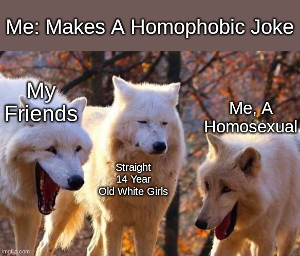 What do you call it when you cook a gay person? LGBBQ! | Me: Makes A Homophobic Joke; My Friends; Me, A Homosexual; Straight 14 Year Old White Girls | image tagged in laughing wolf,gay,homosexual,white girls | made w/ Imgflip meme maker