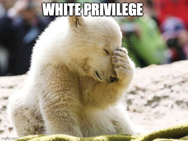 Sad Polar Bear | WHITE PRIVILEGE | image tagged in sad polar bear | made w/ Imgflip meme maker