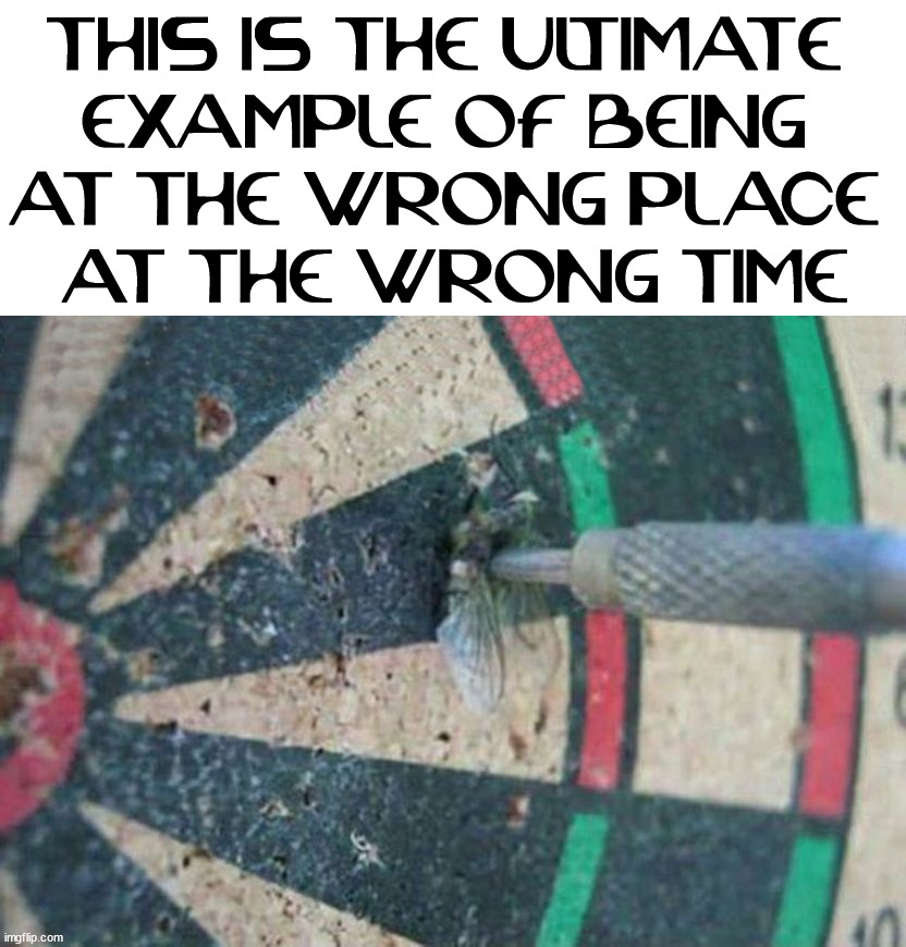 But he got the point .... |  THIS IS THE ULTIMATE 
EXAMPLE OF BEING 
AT THE WRONG PLACE 
AT THE WRONG TIME | image tagged in wrong,darts,stuck | made w/ Imgflip meme maker