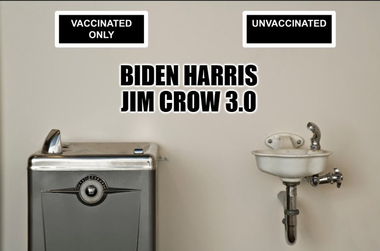 Jim Crow 3.0 | BIDEN HARRIS
JIM CROW 3.0 | image tagged in covid,biden | made w/ Imgflip meme maker